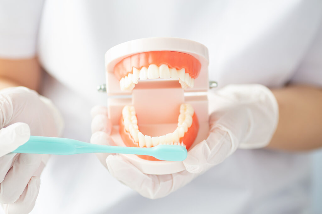 歯科医院に求められている予防歯科への移行とは