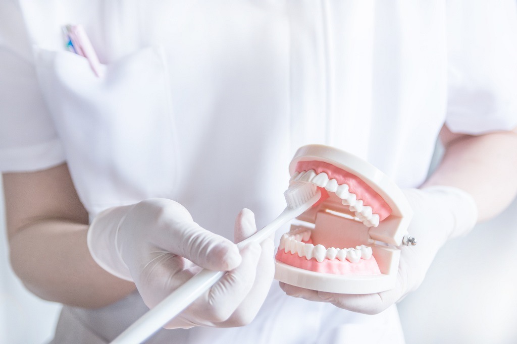 日本における歯科予防意識の変化